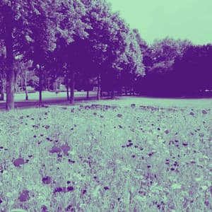 Piano Jazz Duo - Background for Sunny Morning - Classic Jazz