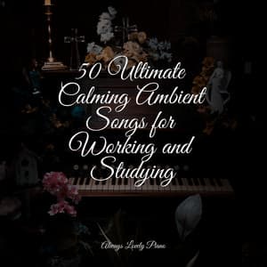50 Calming Songs for Reading and Relaxation - Chillout Piano Session