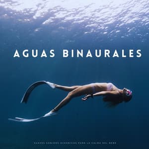 Aguas Binaurales: Suaves Sonidos Oceánicos Para La Calma Del Bebé - Colectivo Binaural Épico