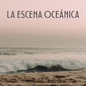 La Escena Oceánica: El Ambiente Perfecto Para Tranquilizar A Sus Mascotas - Musicoterapia para el cuidado de mascotas