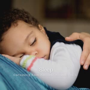 Sleep: Caressing Rain Ambient Sound Vol. 1 - The Sleep Phasers