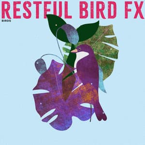 Restful Bird FX - Birds