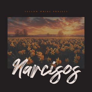 Narcisos - Spanish Guitar Lounge Music