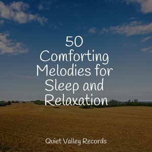 50 Comforting Melodies for Sleep and Relaxation - Namaste Yoga