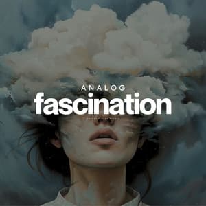 Analog Fascination - Musique Zen