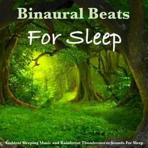 Binaural Beats For Sleep, Ambient Sleeping Music and Rainforest Thunderstorm Sounds For Sleep - Binaural Beats