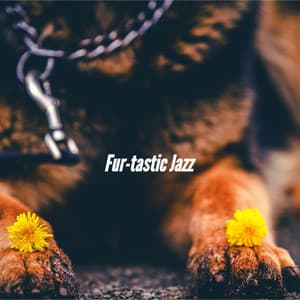 Fur-tastic Jazz - Separation Anxiety Dog Music