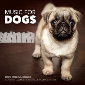 Music for Dogs: Calm Piano Music for Dogs & Relaxing Chill out Music for Pets - Dog Music Library