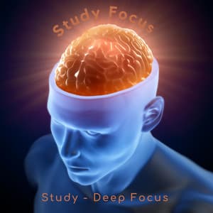 Study Focus - Study – Deep Focus