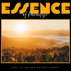 Essence of Paradise - Best of Mother Nature Sounds