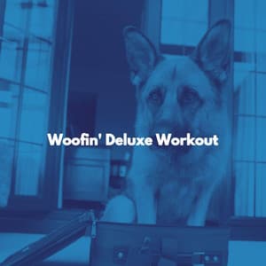 Woofin' Deluxe Workout - Quiet Dinner Music