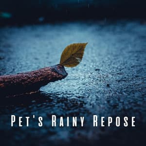 Pet's Rainy Repose: Soothing Pink Noise for Pet Calmness - Soporific Pink Noise