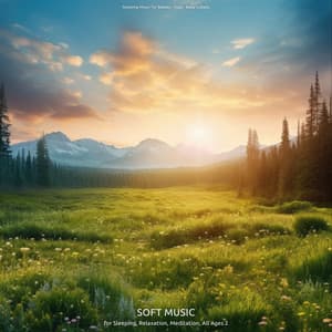 Soft Music for Sleeping, Relaxation, Meditation, All Ages 2 - Sleeping Music for Babies