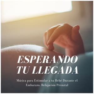 Esperando tu Llegada: Música para Estimular a tu Bebé Durante el Embarazo, Relajación Prenatal - Cuna Lullabies