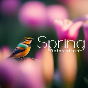 Spring Relaxation: Deep Breathing, Healing Practice Meditation and Mindfulness, Relieve Stress - Ministry of Relaxation Music