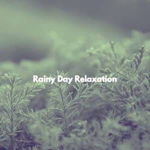 Rainy Day Relaxation - Musique Jazz Relaxante