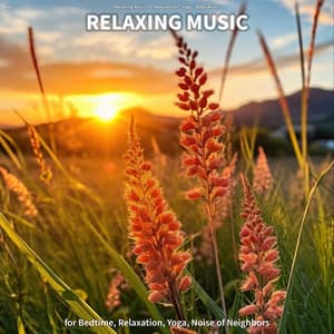 #01 Relaxing Music for Bedtime, Relaxation, Yoga, Noise of Neighbors - Relaxing Music for Meditation