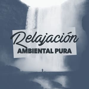 Relajación Ambiental Pura - Musica Ambiental