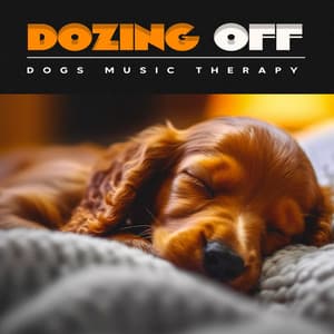 Dozing Off - Dogs Music Therapy