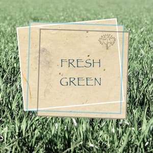 Fresh Green - Rain Sounds