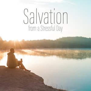 Salvation from a Stressful Day: Meditation Practice & Guided Relaxation - Less Stress Music Academy