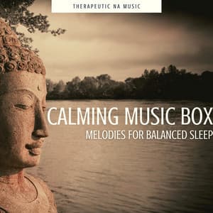 Calming Music Box Melodies for Balanced Sleep - Therapeutic NA Music