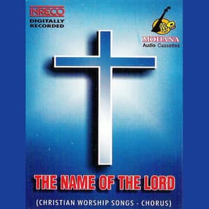 The Name Of The Lord - Llewellyn Samuel