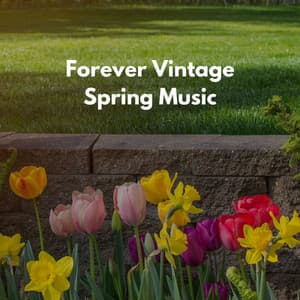 New Relaxing Music for Spring - Soft Jazz Romance
