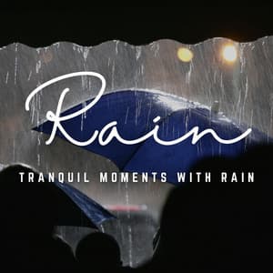 Rainy Tranquility: Relaxing with Nature's Rain - Rainded