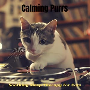 Calming Purrs: Soothing Sleep Therapy for Cats - Pet Music Academy