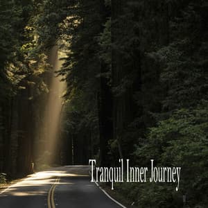 Tranquil Inner Journey - Música Relajante