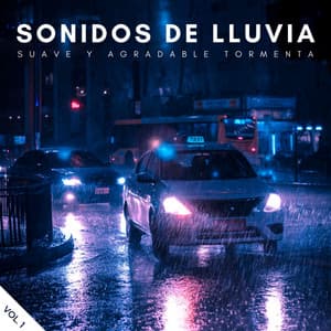 Sonidos De Lluvia: Suave Y Agradable Tormenta Vol. 1 - Lluvia para un sueño profundo