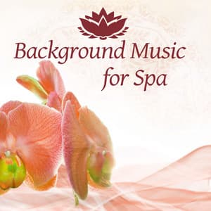 Background Music for Spa – Spa Relaxation Music, Relax Yourself, Peaceful Music, Soothing Sounds, Wellness, Bliss Spa - Background Music Collection