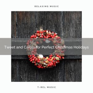 Tweet and Carols for Perfect Christmas Holidays - Calming Sounds