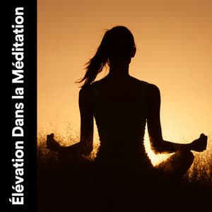 Élévation Dans La Méditation - Attrape-rêves oasis