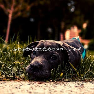 ふわふわの犬のためのスロージャズ - Coffee Shop Piano Jazz Playlist