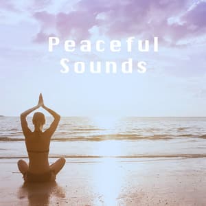 Peaceful Sounds - Study Focus