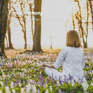 Forest Harmony: Serene Music for Yoga and Meditation - Feel The Nature