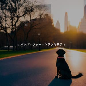 パウズ・フォー・トランキリティ - Cool Jazz Relaxation