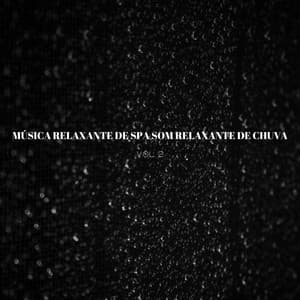 Música Relaxante De Spa Som Relaxante De Chuva Vol. 2 - Música de Relaxamento No Spa