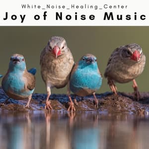1 Joy of Noise Music - White Noise Healing Center