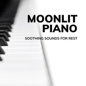 Moonlit Piano: Soothing Sounds for Rest - Moonlight Sonata