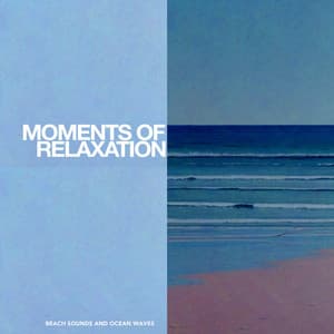 Moments of Relaxation - Beach Sounds and Ocean Waves