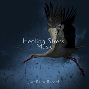 Healing Stress Music - Sonidos de la Naturaleza Relajacion