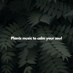 Plants music to calm your soul - Miami Hotel Jazz