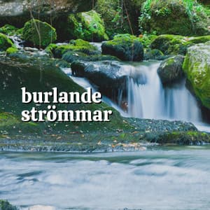 Burlande Strömmar - Naturljud