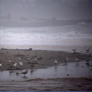 A Winds Rainy Day at the Beach - Meditation Relaxation Club