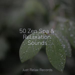 50 Zen Spa & Relaxation Sounds - Nature Sound Collection