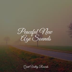 Peaceful New Age Sounds - Kundalini: Yoga