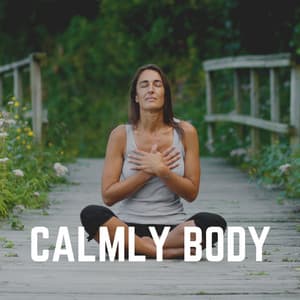 Calmly Body - Sleep Meditation Dream Catcher